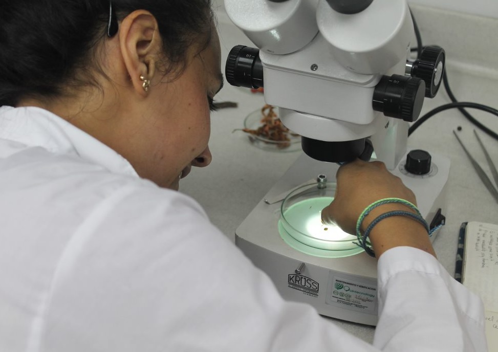 Ecofisiología de Semillas y Plántulas